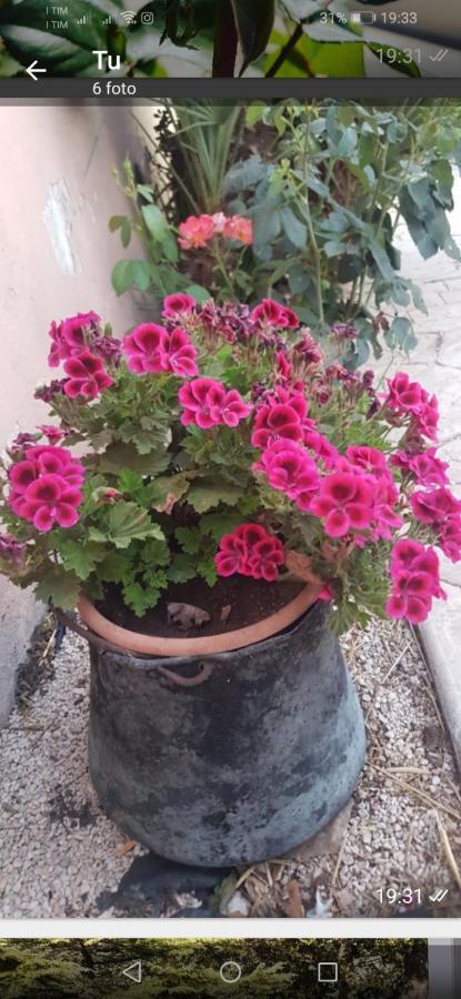 La Dimora Di Nonno Nuccio Hotel Ragusa Exterior foto