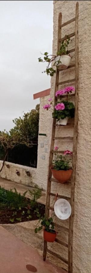 La Dimora Di Nonno Nuccio Hotel Ragusa Exterior foto
