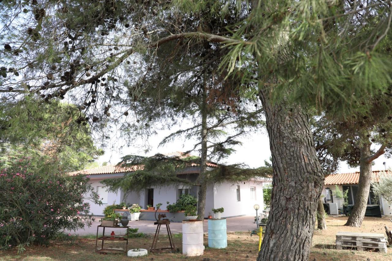 La Dimora Di Nonno Nuccio Hotel Ragusa Exterior foto