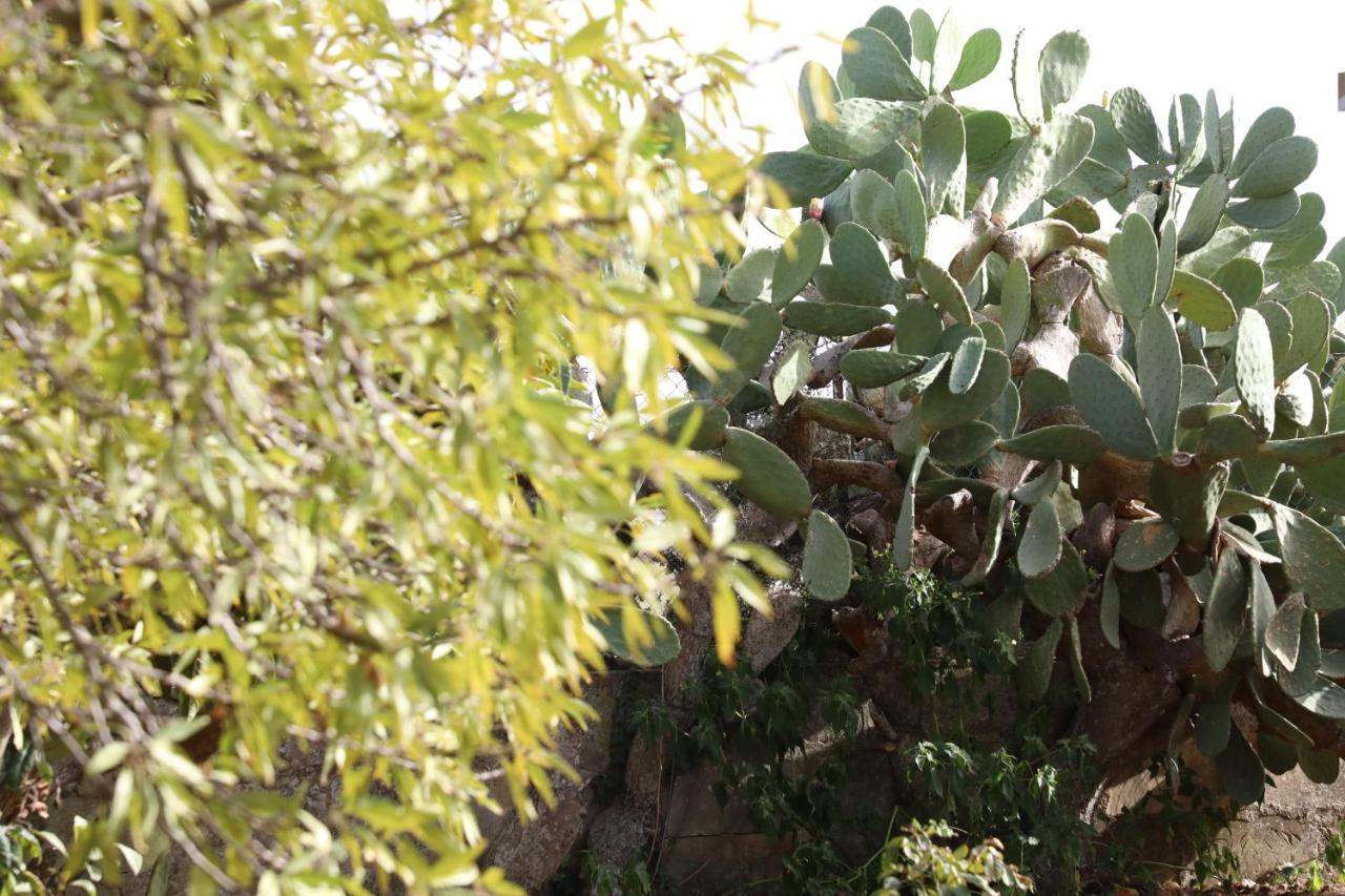 La Dimora Di Nonno Nuccio Hotel Ragusa Exterior foto